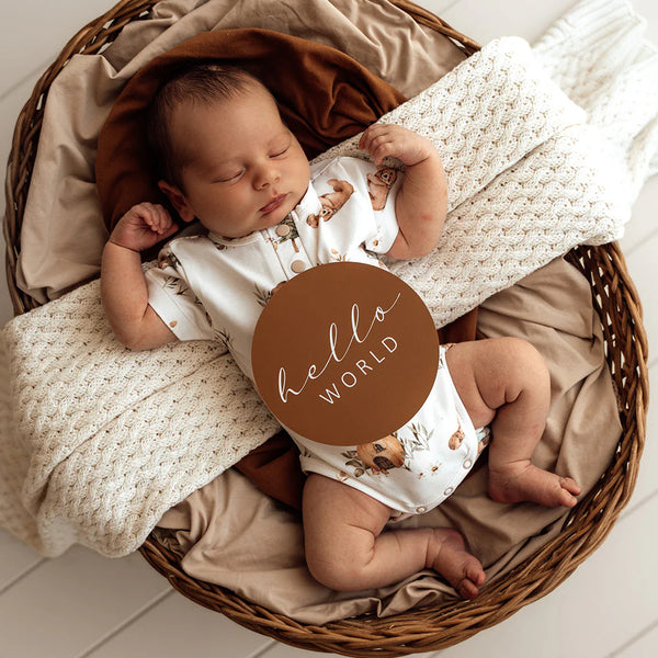 Bears Short Sleeve Organic Bodysuit - Snuggle Hunny