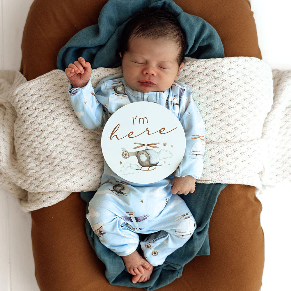 Taking Flight & Pebble Reversible Milestone Cards - Snuggle Hunny