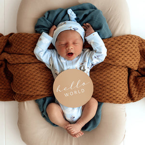 Taking Flight & Pebble Reversible Milestone Cards - Snuggle Hunny