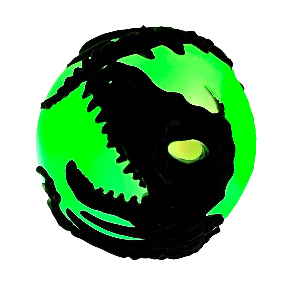 Light Up T-Rex Skeleton Ball - IS GIFT