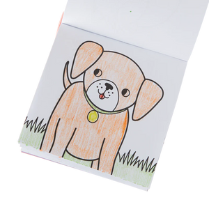 Carry Along – Pet Pals Colouring Book - Ooly