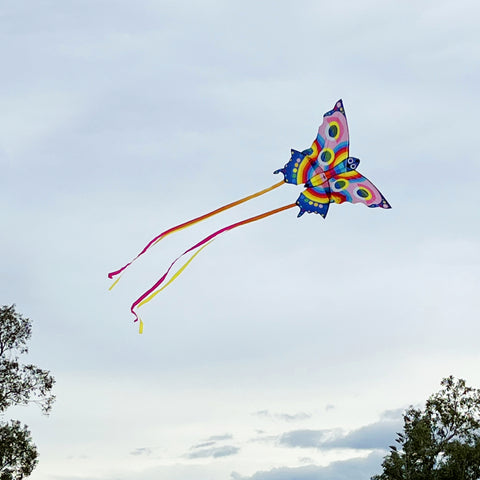 Butterfly Kite - Tiger Tribe DISCOUNTED