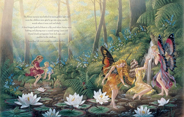 A Visit to Fairyland - Hardback - Shirley Barber