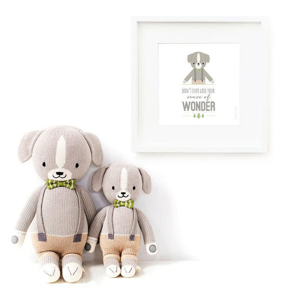 Noah the Dog - Cuddle & Kind