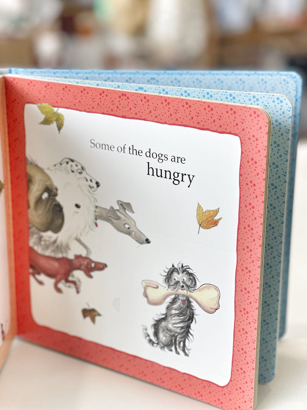 Hairy Maclary and Friends How Do I Feel?   A Lift-the-Flap Book