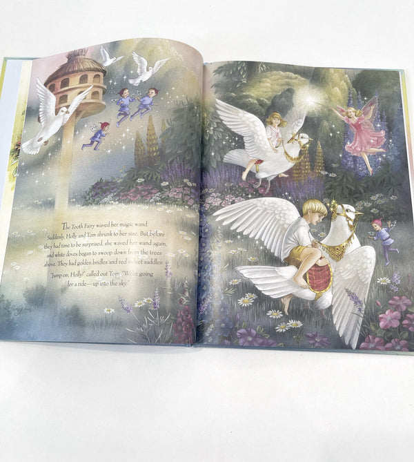 The Tooth Fairy Book - Shirley Barber
