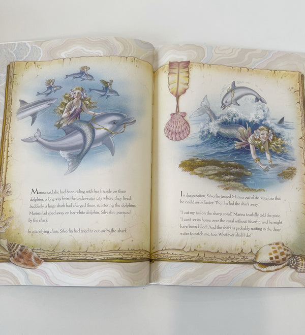 The Mermaid Princess - Paperback Edition - Shirley Barber