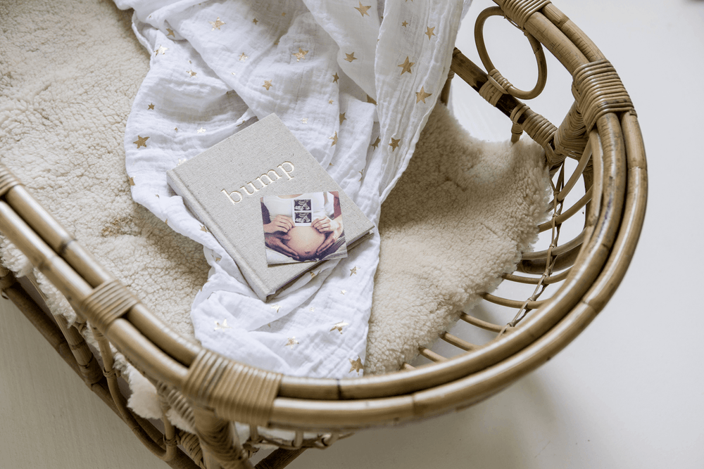 bump pregnancy journal