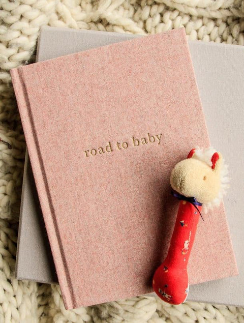 Road to Baby Journal - Dusk - Write to me