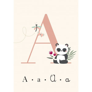 My First Flash Cards - Alphabet - Sassi