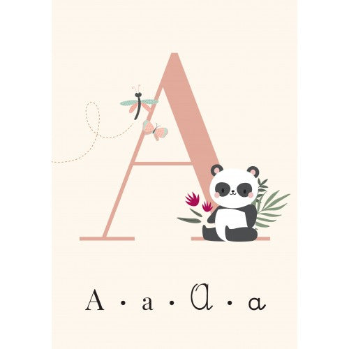 My First Flash Cards - Alphabet - Sassi