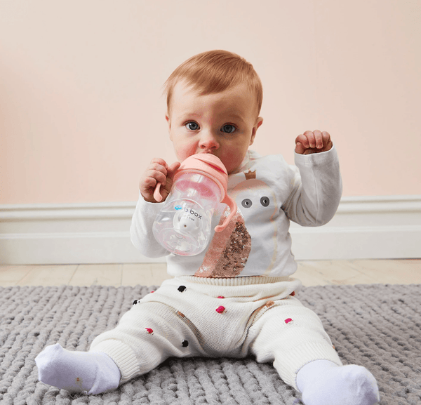 Gelato Sippy Cup - Tutti Frutti - B Box