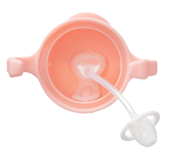 Gelato Sippy Cup - Tutti Frutti - B Box