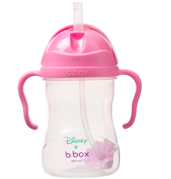 Disney Sippy Cup - Aurora - B Box