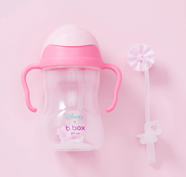 Disney Sippy Cup - Aurora - B Box