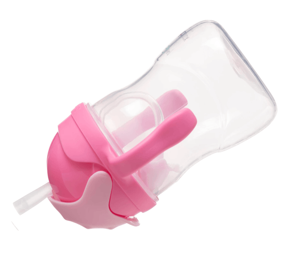 Disney Sippy Cup - Aurora - B Box