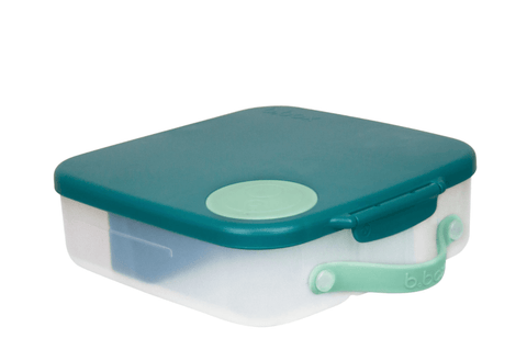 Lunchbox - Emerald Forest - B Box