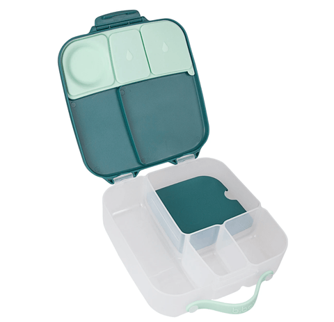 Lunchbox - Emerald Forest - B Box