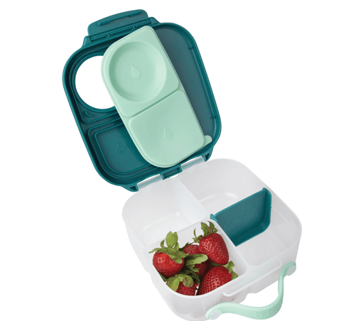 Mini Lunchbox - Emerald Forest - B Box