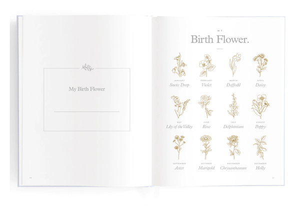 Baby Journal - Rose - Fox & Fallow