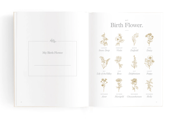 Mini Baby Journal - Oatmeal - Fox & Fallow