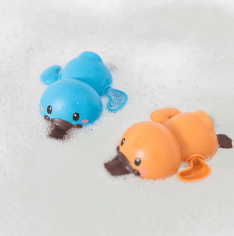 Bath Time Racers - Platypuses - Tiger Tribe