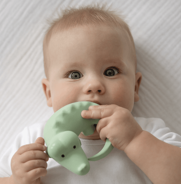 Teether | Rattle | Bath Toy - Crocodile - Tikiri