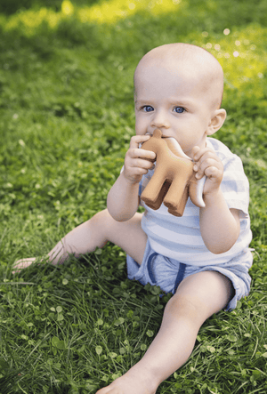 Teether | Rattle | Bath Toy - Horse - Tikiri