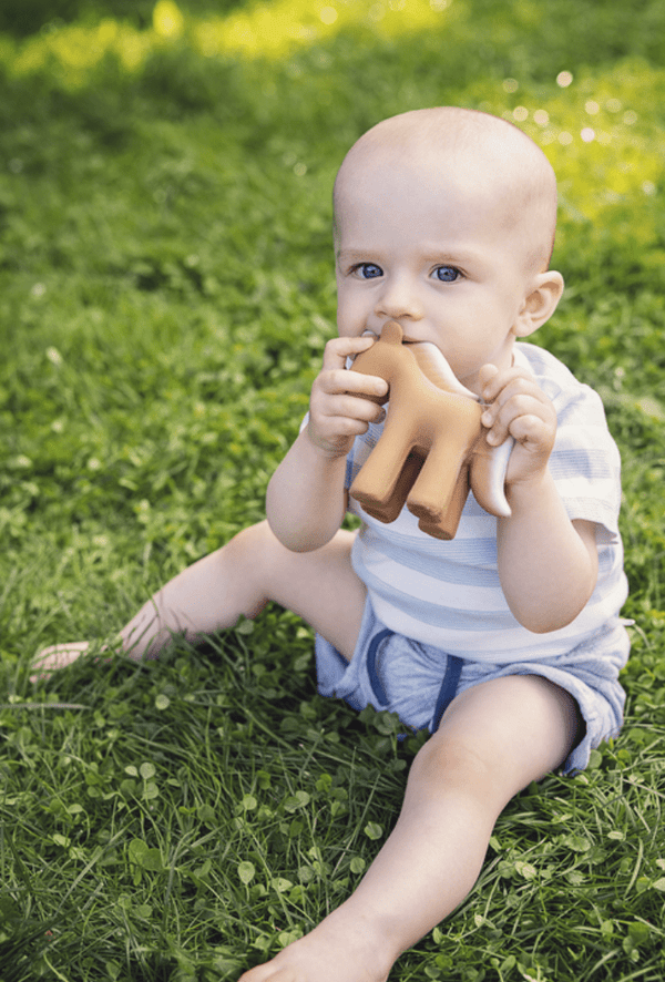 Teether | Rattle | Bath Toy - Horse - Tikiri