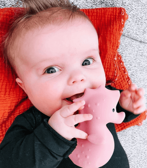 Teether | Rattle | Bath Toy - Seahorse - Tikiri