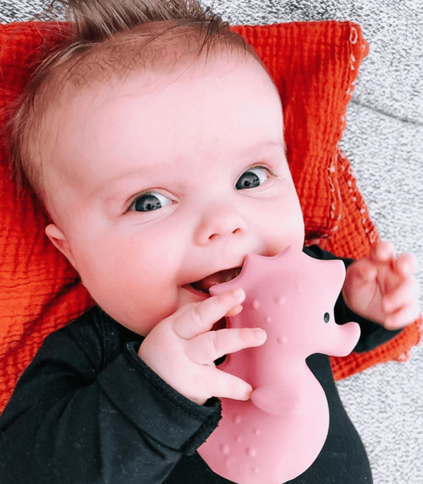 Teether | Rattle | Bath Toy - Seahorse - Tikiri