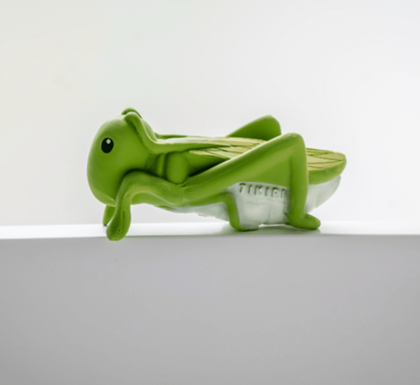 Teether | Rattle | Bath Toy - Grasshopper - Tikiri