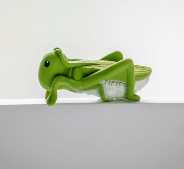 Teether | Rattle | Bath Toy - Grasshopper - Tikiri