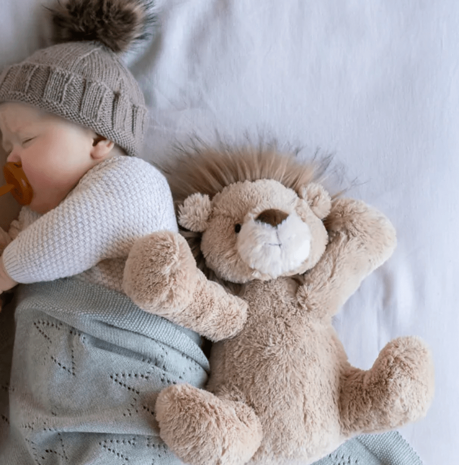 Lewis the Lion Toy - Nana Huchy