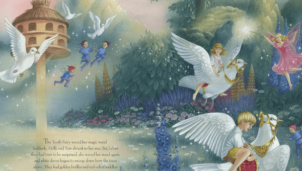 The Tooth Fairy Book - Shirley Barber