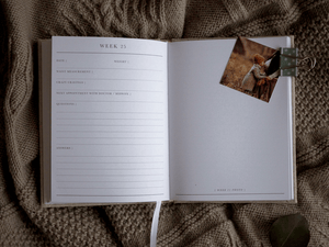 BUMP - A Pregnancy Story - Natural & Gold - Write to me