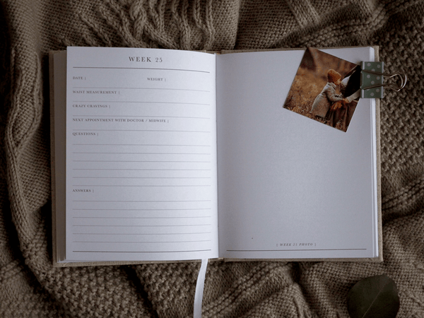 BUMP - A Pregnancy Story - Natural & Gold - Write to me