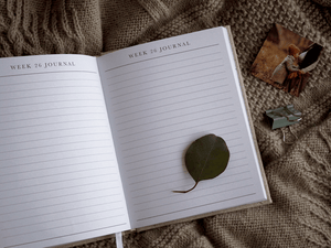 BUMP - A Pregnancy Story - Natural & Gold - Write to me