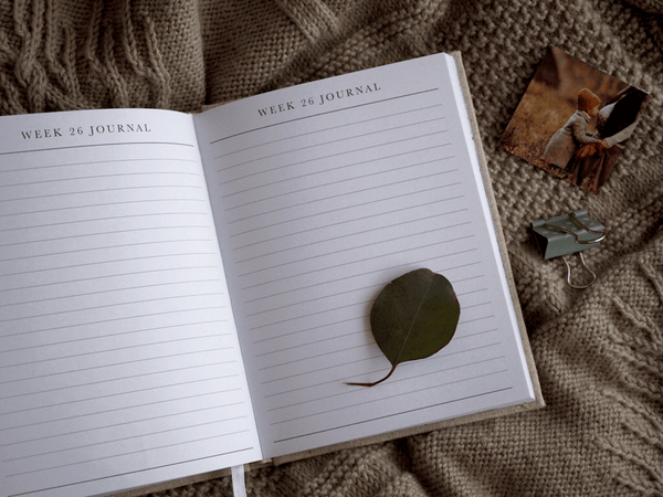 BUMP - A Pregnancy Story - Natural & Gold - Write to me