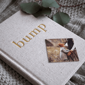 bump pregnancy journal
